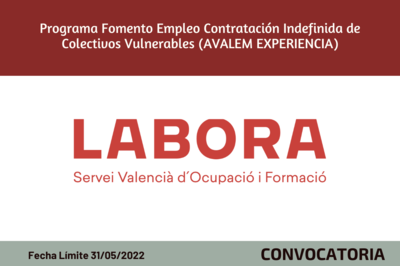 Programa Fomento Empleo Contratacin Indefinida de Colectivos Vulnerables (AVALEM EXPERIENCIA)