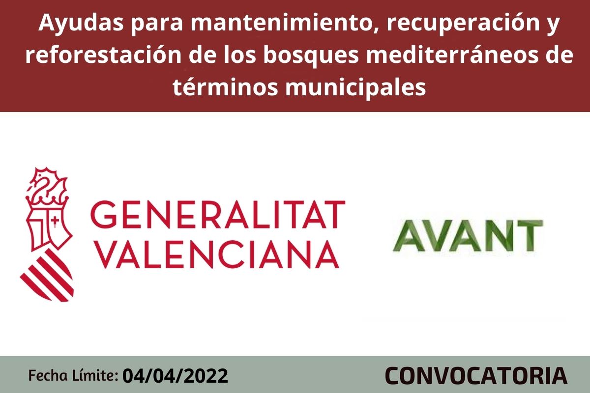 Subvenciones destinadas a apoyar en los municipios de la agenda AVANT