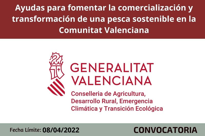 Ampliar imagen