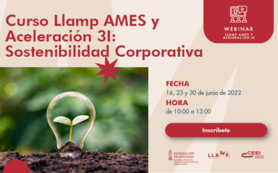 Curso Llamp AMES y Aceleracin 3I: Sostenibilidad Corporativa