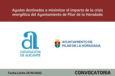 Ayudas destinadas a minimizar el impacto de la crisis energtica del Ayuntamiento de Pilar de la Horadada