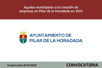 Ayudas municipales a la creacin de empresas en Pilar de la Horadada en 2023