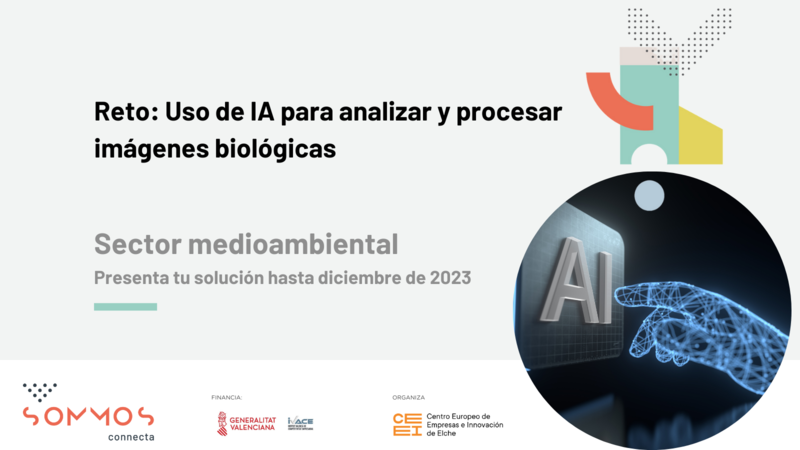 Uso de IA para analizar y procesar imgenes biolgicas