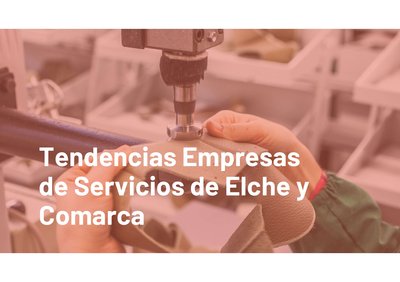EMPRESAS DE SERVICIOS DE ELCHE Y COMARCA: PRESENTE Y FUTURO DEL SECTOR