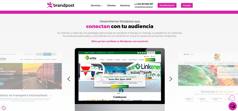 desarrollo en wordpress