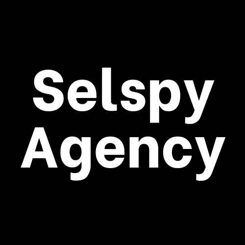 Qué precio tiene un Consultor SEO LOCAL - Selspy Agency