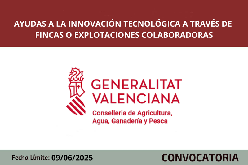Ampliar imagen