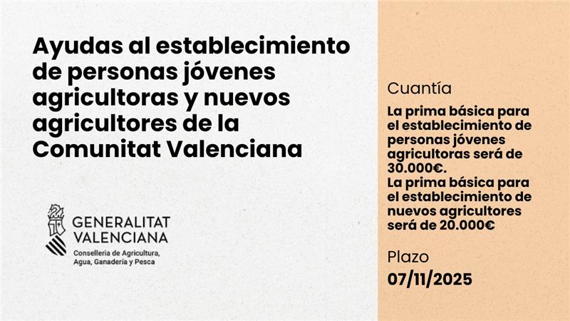 Ampliar imagen