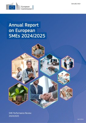 Annual Report on European SMEs 2024/2025, SME performance review
