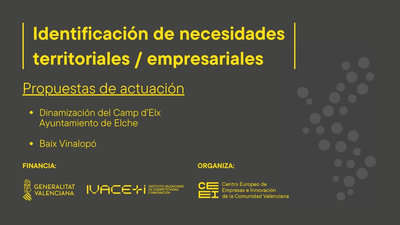 Dinamizaci�n del Camp d�Elx - Propuesta de actuaci�n