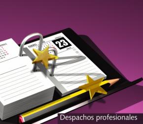 Portada Ficha Despachos Profesionales
