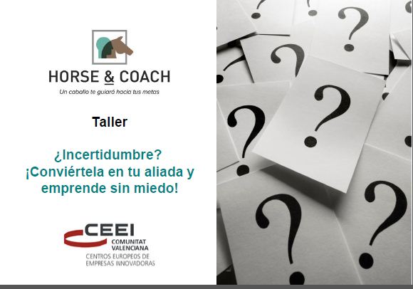 Ampliar imagen