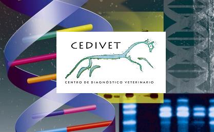 CEDIVET, Premio de Caixa Popular a la Gestión Inno
