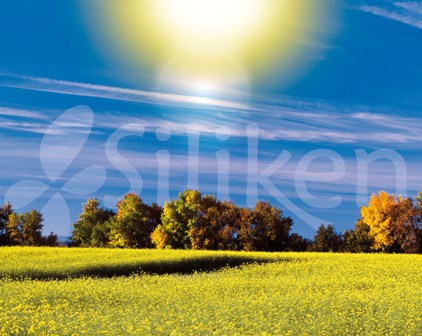 Imágen publicitaria SILIKEN