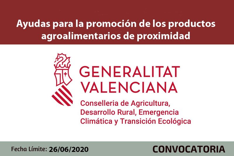 Ampliar imagen