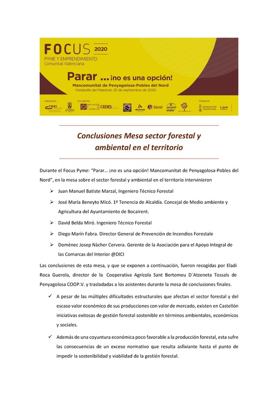 Conclusiones Mesa sector forestal y ambiental en el territorio (Portada)