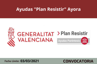 Bases de la convocatoria
