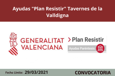 Bases de la Convocatoria