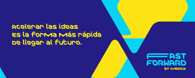 Fast Forward Bases Legales