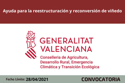 Ayuda para la reestructuraci�n y reconversi�n de vi�edo