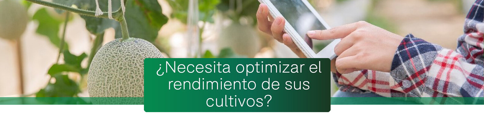 Lida Plant Research S.L. 