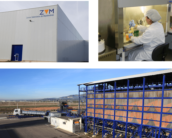 Zumos Valencianos del Mediterráneo S.A.