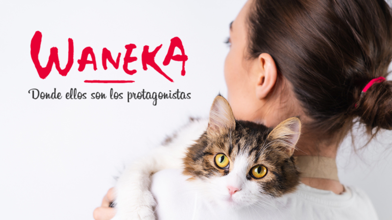 Waneka, tienda online de rascadores y casitas para gatos.